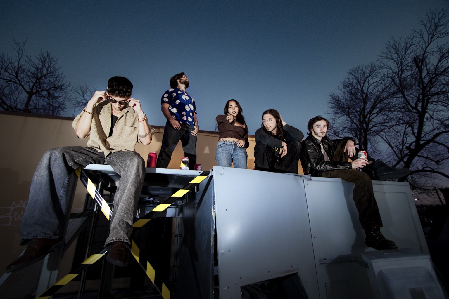 Directed music group portrait
